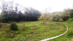 Продається ділянка Житомирська, Житомирський, Станишівка, Незнайка фото 1 Продається ділянка Житомирська, Житомирський, Станишівка, Незнайка фото 1