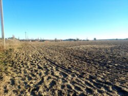 Продається ділянка Житомирська, Житомирський, Кам'янка фото 4 Продається ділянка Житомирська, Житомирський, Кам'янка фото 4