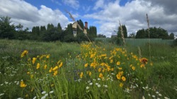 Ділянка варта уваги! Пряжів, 29 соток фото 3 Ділянка варта уваги! Пряжів, 29 соток фото 3