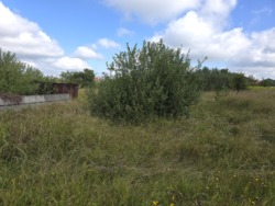 Продається ділянка Житомирська, Житомир, Аеропорт, Коростенська вул. фото 2 Продається ділянка Житомирська, Житомир, Аеропорт, Коростенська вул. фото 2