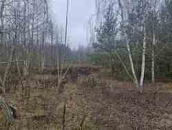 ĳ����� 20 ���. �볿��� (26159460) ���� 3