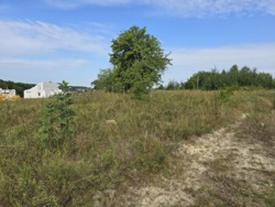 Продаж ділянки 10 соток на Богунії (26144535) фото 10 Продаж ділянки 10 соток на Богунії (26144535) фото 10