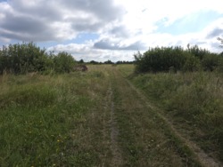 Продається ділянка Житомирська, Житомир, Аеропорт, Коростенська вул. фото 6 Продається ділянка Житомирська, Житомир, Аеропорт, Коростенська вул. фото 6