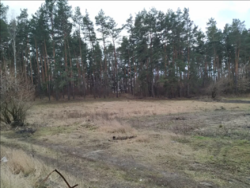 Продаж ділянки через дорогу від лісу, Слобода-Селець фото 17 Продаж ділянки через дорогу від лісу, Слобода-Селець фото 17