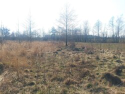   25   . (26105789)  3