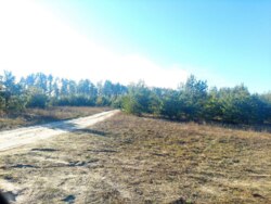  2,44       .'(26105783)  5