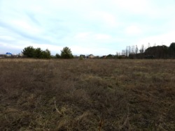 Ділянка 17,5 соток, Пряжів в новобудовах фото 5 Ділянка 17,5 соток, Пряжів в новобудовах фото 5