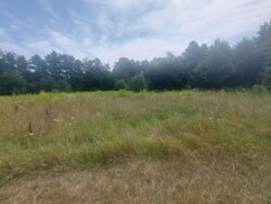 Продається ділянка Житомирська, Житомир, Крошня, Плємоб'єднання фото 4 Продається ділянка Житомирська, Житомир, Крошня, Плємоб'єднання фото 4