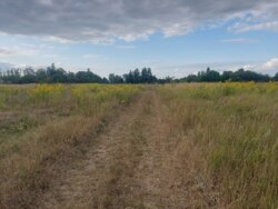 Продається ділянка Житомирська, Житомирський, Вереси, Садова фото 3 Продається ділянка Житомирська, Житомирський, Вереси, Садова фото 3