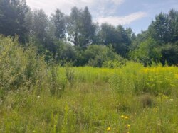      ', ' ' (26104563)  4