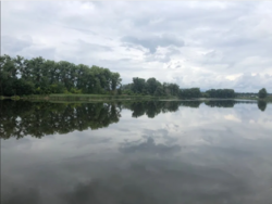 Продається ділянка Житомирська, Житомирський, Млинище, Люби Кучер фото 2 Продається ділянка Житомирська, Житомирський, Млинище, Люби Кучер фото 2