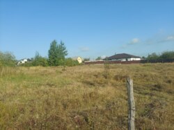 Продається ділянка Житомирська, Житомирський, Тетерівка, Садова фото 3 Продається ділянка Житомирська, Житомирський, Тетерівка, Садова фото 3