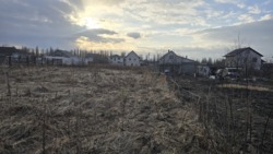 ������ ������ 8���. ճ������/����������� ���� 2