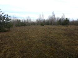 Ділянка 15 сот., початок с.Сінгури. (26105809) фото 4 Ділянка 15 сот., початок с.Сінгури. (26105809) фото 4