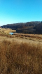 ��������� ������ �����������, ������������, ������ ���� 6