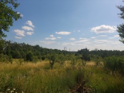 Продаж ділянки 10 соток на пчатку с.Іванівка фото 4 Продаж ділянки 10 соток на пчатку с.Іванівка фото 4