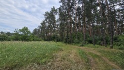 Продаж ділянки через дорогу від лісу, Слобода-Селець фото 1 Продаж ділянки через дорогу від лісу, Слобода-Селець фото 1