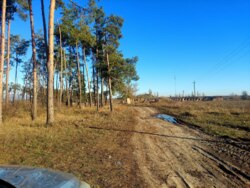 Продається ділянка Житомирська, Житомирський, Кам'янка фото 7 Продається ділянка Житомирська, Житомирський, Кам'янка фото 7