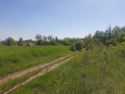 Продаж ділянки 50 соток с.Млинище (26144870) фото 8 Продаж ділянки 50 соток с.Млинище (26144870) фото 8