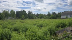 Продається ділянка с.Левків з асфальтованим під'їздом фото 3 Продається ділянка с.Левків з асфальтованим під'їздом фото 3