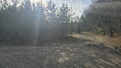 Продаж ділянки 30 сот. на Богунії. (2693722) фото 7 Продаж ділянки 30 сот. на Богунії. (2693722) фото 7