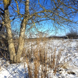 Продаж ділянки 10 сот Хінчанка фото 4 Продаж ділянки 10 сот Хінчанка фото 4