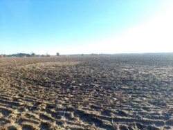 Продається ділянка Житомирська, Житомирський, Кам'янка фото 5 Продається ділянка Житомирська, Житомирський, Кам'янка фото 5