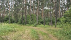 Продаж ділянки через дорогу від лісу, Слобода-Селець фото 5 Продаж ділянки через дорогу від лісу, Слобода-Селець фото 5