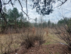 Продається ділянка Житомирська, Житомирський, Пряжів, Лісова/Промислова фото 7 Продається ділянка Житомирська, Житомирський, Пряжів, Лісова/Промислова фото 7
