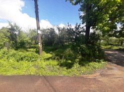 Продається ділянка Житомирська, Житомир, Богунія, Євгена Коновальця/Цілинний пров фото 1 Продається ділянка Житомирська, Житомир, Богунія, Євгена Коновальця/Цілинний пров фото 1