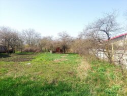 ĳ 17      (26142330)  7