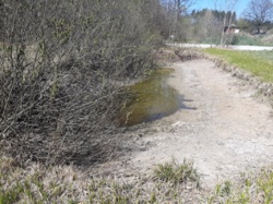 Продаж ділянки навпроти лісу с.Барашівка фото 4 Продаж ділянки навпроти лісу с.Барашівка фото 4