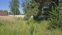 Продається ділянка Тетерівка, з боку річки. фото 1 Продається ділянка Тетерівка, з боку річки. фото 1