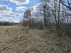 Ділянка 11 соток, Тетерівка, сторона річки фото 11 Ділянка 11 соток, Тетерівка, сторона річки фото 11