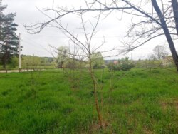 Продається ділянка Житомирська, Житомирський, Давидівка, 22-го Партз'їзду фото 2 Продається ділянка Житомирська, Житомирський, Давидівка, 22-го Партз'їзду фото 2