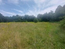 Продається ділянка Житомирська, Житомир, Крошня, Плємоб'єднання фото 6 Продається ділянка Житомирська, Житомир, Крошня, Плємоб'єднання фото 6