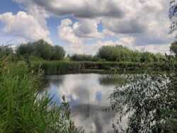 Продаж ділянки 24,6 сот. в с.Двірець поряд з озером. фото 3 Продаж ділянки 24,6 сот. в с.Двірець поряд з озером. фото 3