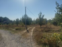 Ділянка 27 соток на початку с.Дениші фото 1 Ділянка 27 соток на початку с.Дениші фото 1