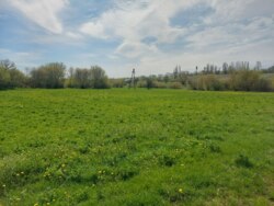 Ділянка 25 соток с.Лука фото 3 Ділянка 25 соток с.Лука фото 3