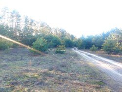  2,44       .'(26105783)  7