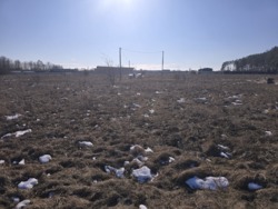 Ділянка 12 соток Сонячне, права сторона фото 2 Ділянка 12 соток Сонячне, права сторона фото 2