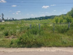 Продається ділянка Житомирська, Житомирський, Млинище, Люби Кучер фото 7 Продається ділянка Житомирська, Житомирський, Млинище, Люби Кучер фото 7