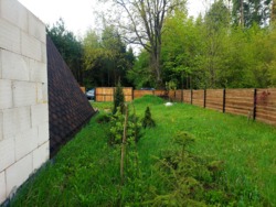 ĳ          (26142819)  9