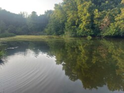 Продається ділянка Житомирська, Житомирський, Дениші, новий масив фото 7 Продається ділянка Житомирська, Житомирський, Дениші, новий масив фото 7