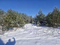 �������� 10���. ������� ����. (26156871) ���� 4