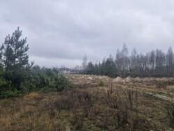 ĳ����� 20 ���. �볿��� (26159460) ���� 9