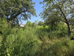 Продаж старого будинку + 13 соток на Богунії (26142318) фото 12 Продаж старого будинку + 13 соток на Богунії (26142318) фото 12