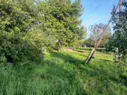    14,6 .  ..(26143857)  9