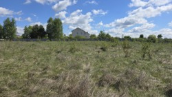 Продаж ділянки 25 соток під будівництво с.Сонячне фото 4 Продаж ділянки 25 соток під будівництво с.Сонячне фото 4