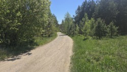 ������ 17,5 ���. �� ��������.(26161757) ���� 2